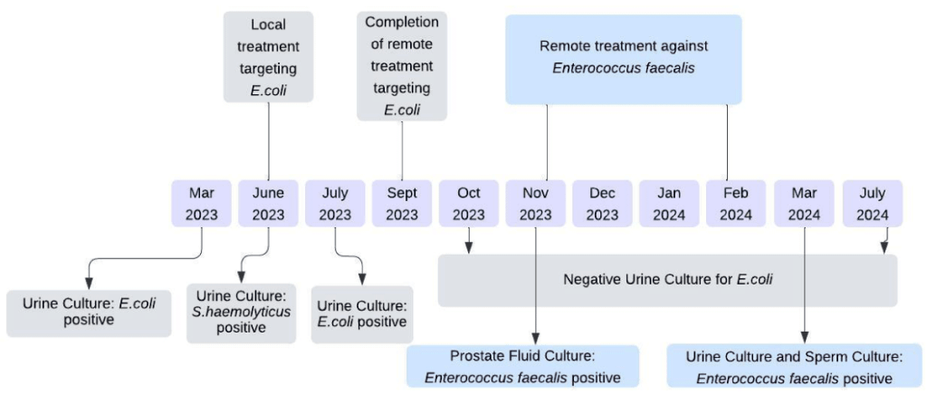 Timeline representation of bacteriophage and antibiotic treatment for chronic bacterial prostatitis at the Eliava Phage Therapy Center